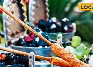 Delhi Famous Food: धागे से बांधकर बनता है ये फेमस कबाब, 71 साल से बादशाहत कायम, स्वाद के दीवानों की लगती है भीड़