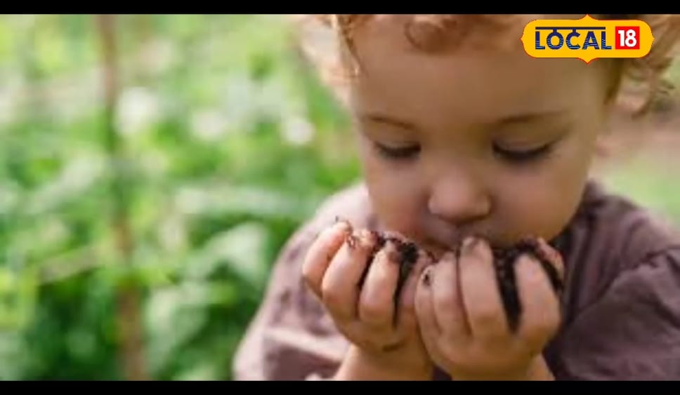 क्या आपका बच्चा खाता है कंकड़ और बाल? हो जाएं सावधान, इस बीमारी का हो सकता है शिकार