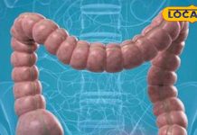 सबको पीने चाहिए ये जूस, आंतों पर चिपकी गंदगी को कर देते हैं साफ, गिनते-गिनते थक जाएंगे फायदे!