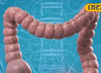 सबको पीने चाहिए ये जूस, आंतों पर चिपकी गंदगी को कर देते हैं साफ, गिनते-गिनते थक जाएंगे फायदे!