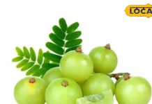 इंसान और प्रकृति दोनों के लिए जरूरी है ये फल, जानें शरीर के लिए कैसे फायदेमंद