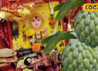 साल 3 महीने में बिकता है ये जंगली फल, मिठास के आगे शहद भी फेल