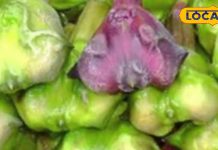 फल है या दवा की दुकान… गठिया से लेकर दिल तक का इलाज! जानिए खाने के फायदे