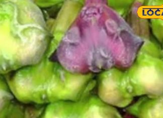 फल है या दवा की दुकान… गठिया से लेकर दिल तक का इलाज! जानिए खाने के फायदे