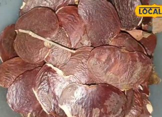 इस बीज में है यूरिन इन्फेक्शन से लेकर पेट की समस्याओं को ठीक करने की क्षमता, शरीर भी बनता है चमकदार