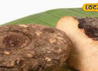 क्या कार्तिक महीने में जिमीकंद नहीं खाने से छछूंदर का होता है अगला जन्म, True