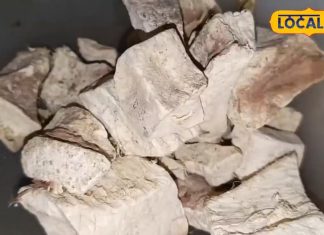 दिल के लिए बहुत फायदेमंद है यह औषधि, देखें VIDEO – Bharat.one हिंदी