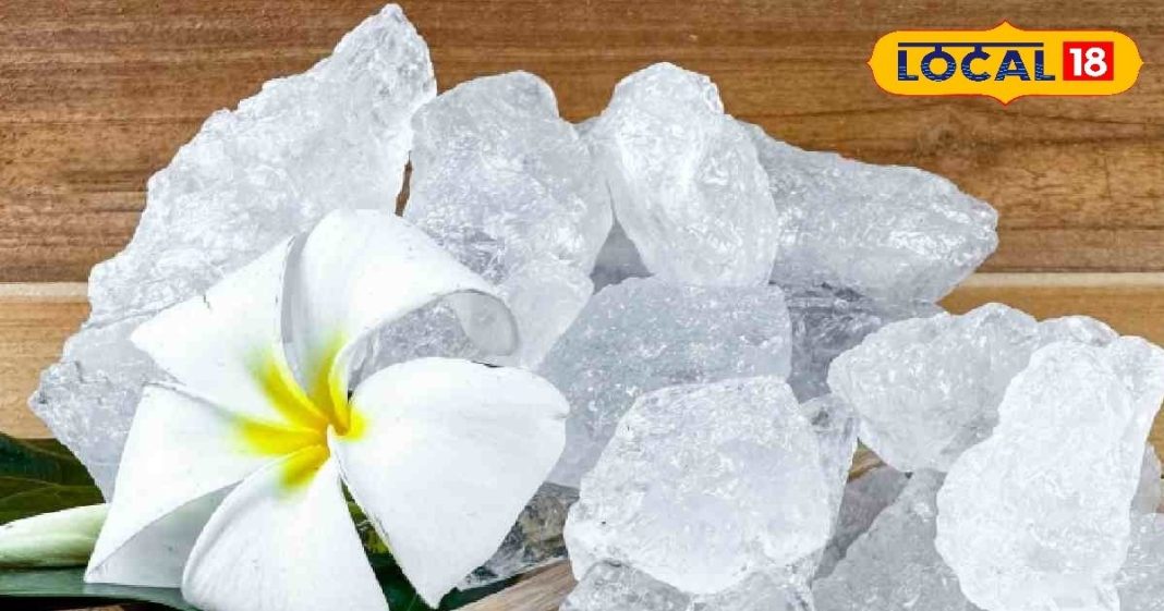 ये सफेद चीज है पौधों के लिए वरदान! बूस्ट होगी ग्रोथ, मिलेंगे हरे-भरे फूल!