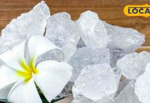 ये सफेद चीज है पौधों के लिए वरदान! बूस्ट होगी ग्रोथ, मिलेंगे हरे-भरे फूल!