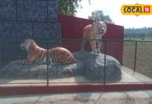 रानीपुर टाइगर रिजर्व चित्रकूट में 6 नवंबर से होगी सफारी की शुरुआत, इन जानवरों को देख सकेंगे पर्यटक