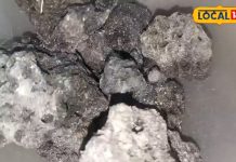 चमत्कारी है यह औषधि, शरीर को बना देगी ताकतवर, सूजन-दर्द समेत कई बीमारियों से दिलाएगी छुटकारा!