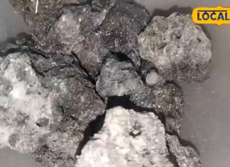 चमत्कारी है यह औषधि, शरीर को बना देगी ताकतवर, सूजन-दर्द समेत कई बीमारियों से दिलाएगी छुटकारा!