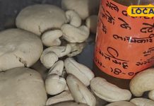 इस दिवाली डायबिटीज मरीज भी करेंगे मुंह मीठा, ये मिठाई से मिलेगा सेहत का तोहफा