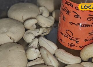 इस दिवाली डायबिटीज मरीज भी करेंगे मुंह मीठा, ये मिठाई से मिलेगा सेहत का तोहफा