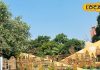 UP Darshan Park: लखनऊ का यह अनोखा पार्क नहीं देखा तो कुछ नहीं देखा, यहां दिखेगी अयोध्या और आगरा की झलक