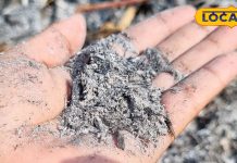 पेट के कीड़ों का काल है ये राख, सिर्फ एक चुटकी से बच्चा हो जाएगा स्वस्थ्य