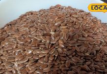 महंगे ड्राई फ्रूट्स नहीं… प्रोटीन के लिए खाएं ये बीज, शक्तिशाली बन जाएगा दिल, सूजन-दर्द को भी करे ठीक!