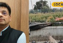 कबूतर को दाना डालते हैं तो हो जाएं सावधान, नहीं तो लिवर हो जाएगा फेल! डॉक्टर ने बताया हैरान करने वाला केस