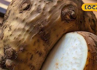 दिवाली पर जरूर खाएं मां लक्ष्मी से जुड़ी ये सब्जी…BP और डायबिटीज के लिए रामबाण!