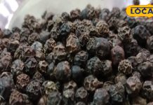 बार-बार होता है सिर दर्द? खांसी-जुकाम से भी हैं परेशान, तो इस मसाले को खाना कर दें शुरू, गिनते रह जाएंगे फायदे