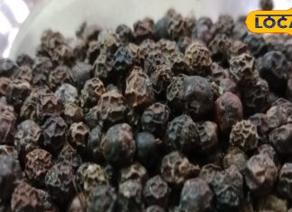 बार-बार होता है सिर दर्द? खांसी-जुकाम से भी हैं परेशान, तो इस मसाले को खाना कर दें शुरू, गिनते रह जाएंगे फायदे