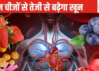 खाने की वे 11 चीजें जिनसे शरीर के रग-रग में खून भरेंगे लबालब, शरीर में आएगी लोहे जैसी ताकत! RBC और Hb दोनों बढ़ेंगे