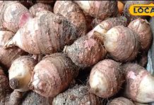 पहाड़ों पर पाई जाने वाली ये जड़ सब्जी है कमाल, स्वास्थ्य के लिए संजीवनी, कई बीमारियों में कारगर – Bharat.one हिंदी