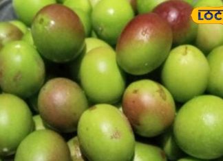 बड़े काम का है ये छोटा सा दिखने वाला फल, कब्ज, गैस और एसिडिटी से दिलाता है राहत – Bharat.one हिंदी