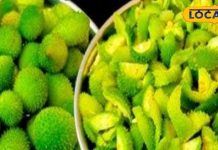 दवाइयों का खजाना है यह जंगली सब्जी! अनेक बीमारियों के लिए रामबाण, जानें कहां होती है इसकी उपज – Bharat.one हिंदी