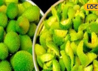 दवाइयों का खजाना है यह जंगली सब्जी! अनेक बीमारियों के लिए रामबाण, जानें कहां होती है इसकी उपज – Bharat.one हिंदी