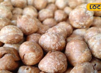 बीकानेर में मिलती है बिरजा महाराज की कचौरी, अमेरिका-दुबई तक डिमांड – Bharat.one हिंदी