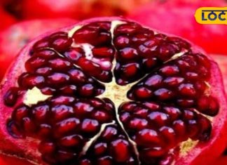 ये फल औषधीय गुणों का है पिटारा, चेहरे पर पिंपल और शरीर के लिए रामबाण