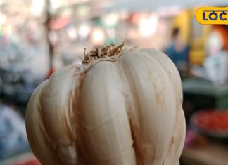 लहसुन की कलियां आपकी सेहत के लिए हैं वरदान, जानें कैसे करें इस्तेमाल – Bharat.one हिंदी