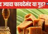 वजन घटाने के लिए गुड़ ज्यादा फायदेमंद या शहद? डाइटिशियन से जानें सच, वेट लॉस में मिलेगी मदद