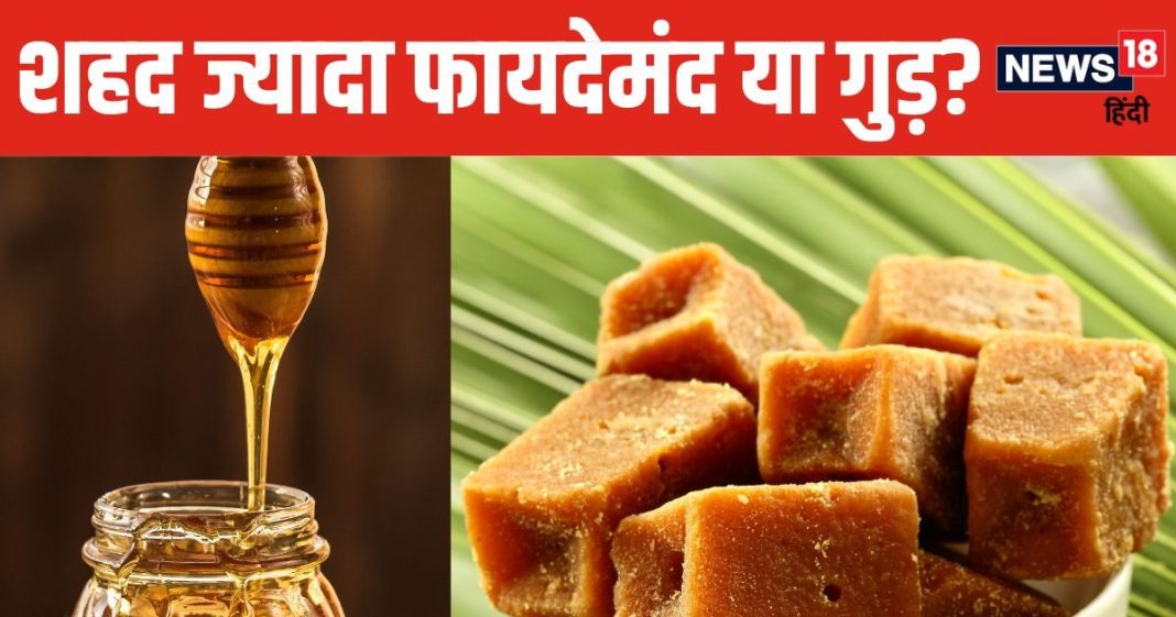 वजन घटाने के लिए गुड़ ज्यादा फायदेमंद या शहद? डाइटिशियन से जानें सच, वेट लॉस में मिलेगी मदद
