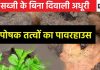 इस सब्जी के बिना पूर्ण नहीं है दिवाली पर्व, बेडौल जरूर पर गुणों का है महाराजा, पेट से लेकर हार्ट तक पर करता है जानदार असर