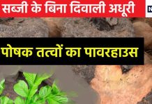 इस सब्जी के बिना पूर्ण नहीं है दिवाली पर्व, बेडौल जरूर पर गुणों का है महाराजा, पेट से लेकर हार्ट तक पर करता है जानदार असर