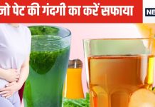 आंतों के अंदर सड़ रही गंदगी को फ्लश आउट कर देंगे ये 5 जूस, सप्ताह भर के अंदर पेट और मन दोनों को मिलेगा सुकून, आजमा के तो देखिए