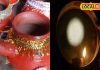 Karwa Chauth 2024: मिट्टी के करवे से क्यों दिया जाता है करवा चौथ पर अर्घ्य? हरिद्वार के ज्योतिषी से जानें सब