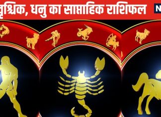 Saptahik Rashifal: प्यार में पड़े तुला, वृश्चिक जातकों के लिए सप्ताह होगा शुभ, धनु वालों को बिजनेस में मिलेगी बड़ी डील, होगा मुनाफा