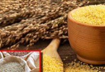 cold weather diet millets for energy and health ayurveda benefits sa
