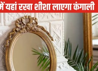 Mirror Vastu Tips: घर में गलत जगह लगा शीशा कराता है क्लेश, धन हानि और बीमारी का लगेगा अंबार, जानें वास्तु नियम