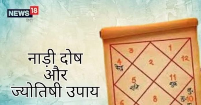 Nadi Dosh in Kundali: शादी से पहले ऐसे चेक करें