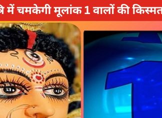 Navratri 2024 Numerology Upay: नवरात्रि के पहले दिन करें ये खास उपाय, इस मूलांक वाले जातकों की बदल जाएगी किस्मत!