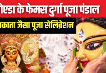 Noida Durga Puja 2024: कोलकाता-दिल्ली ही नहीं, नोएडा के इन इलाकों की दुर्गापूजा भी है खास, पंडाल देखने आप भी पहुंचें