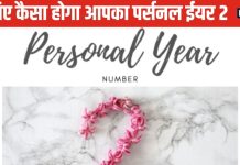 Numerology: इस पर्सनल ईयर में सावधानी की जरूरत, मित्रों से मिल सकता धोखा, आर्थिक संकट भी कर सकता है परेशान