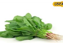 इन लोगों को भूलकर भी नहीं खानी चाहिए ये हरी सब्जी, उठाने पड़ सकते हैं ये नुकसान – Bharat.one हिंदी