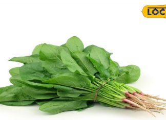 इन लोगों को भूलकर भी नहीं खानी चाहिए ये हरी सब्जी, उठाने पड़ सकते हैं ये नुकसान – Bharat.one हिंदी