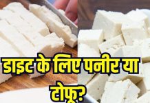 पनीर और टोफू में कौन ज्यादा फायदेमंद? अक्सर एक समझते हैं लोग, वेट लॉस के लिए यह बेस्ट