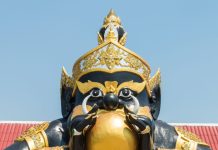 अशुभता का सूचक है राहु, जानें कब-कब देता है शुभ फल? किस राशि के लिए और किस उम्र के बाद होता है फायदेमंद